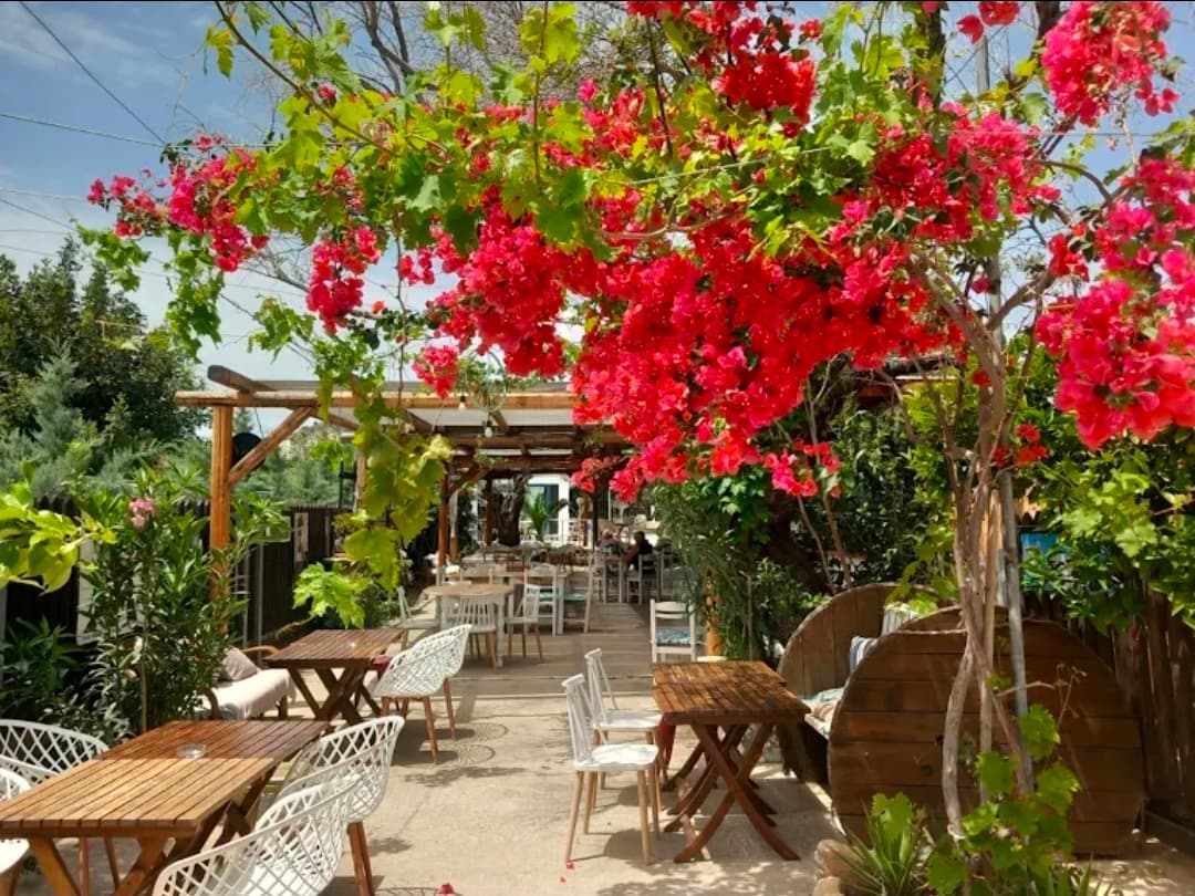 Jardin ombragé sous les bougainvilliers de la Taverna Kipos à Agia Galini
