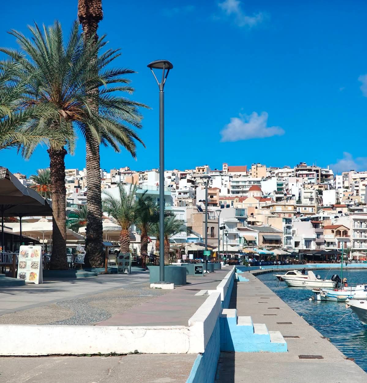 La promenade de Sitia bordée de palmiers, avec l'amphithéâtre de maisons blanches au-dessus du port, Crète