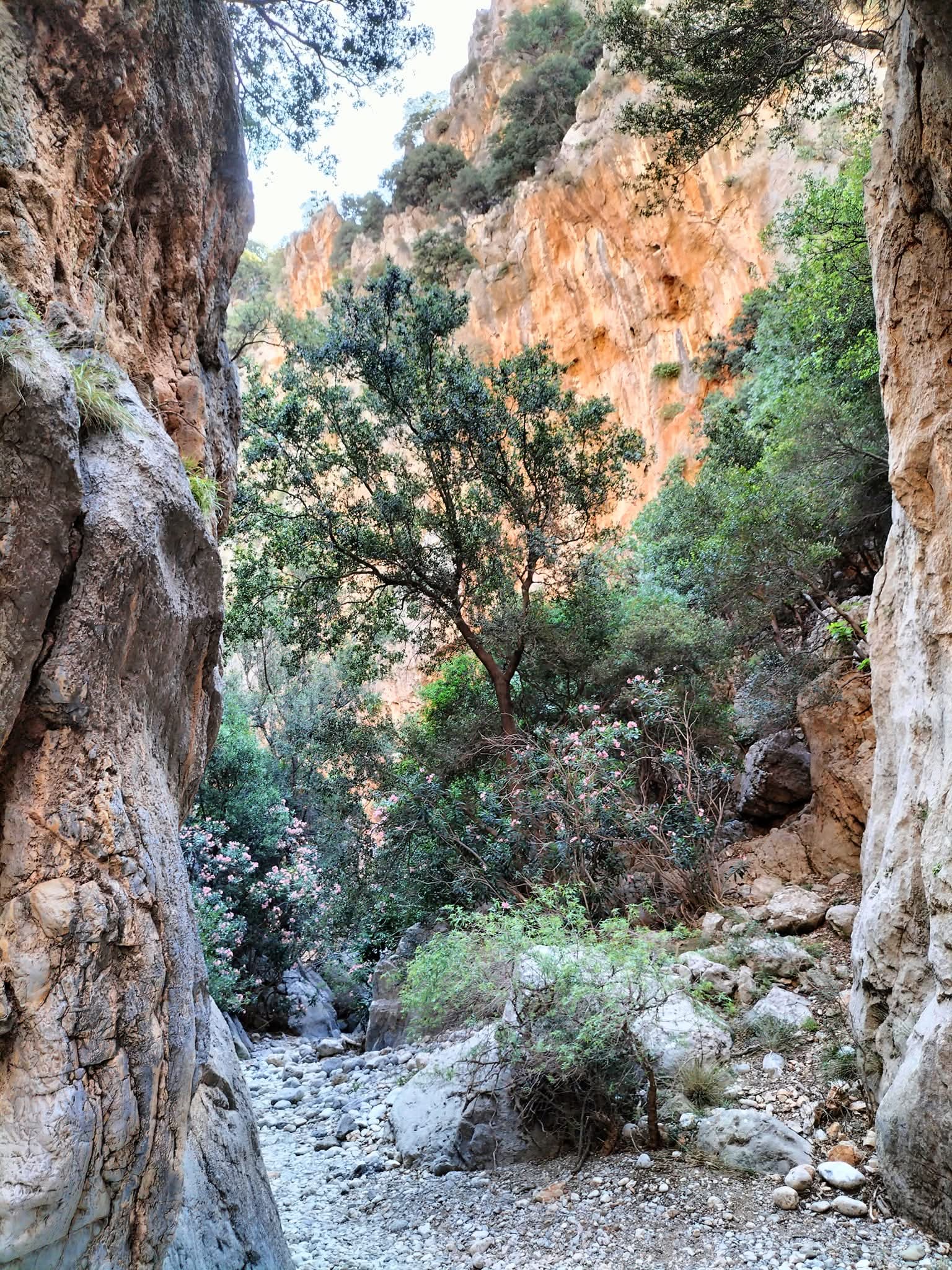 Kritsa — The Kritsa gorge, wild and quiet